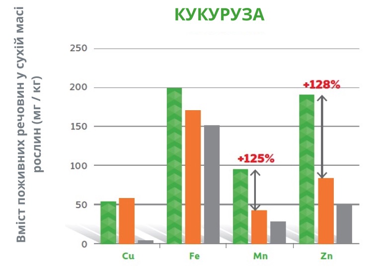 Amino Ultra Kukurydza